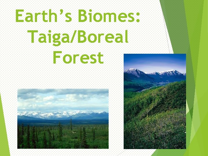 Earth’s Biomes: Taiga/Boreal Forest 