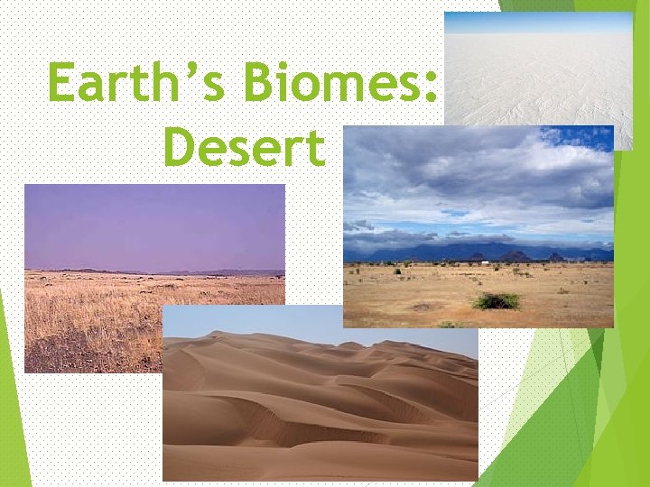 Earth’s Biomes: Desert 