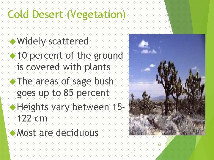 Cold Desert (Vegetation) Widely scattered 10 percent of the ground is covered with plants