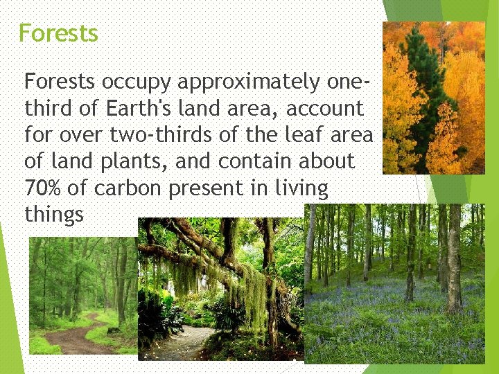 Forests occupy approximately onethird of Earth's land area, account for over two-thirds of the