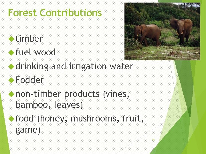 Forest Contributions timber fuel wood drinking and irrigation water Fodder non-timber products (vines, bamboo,