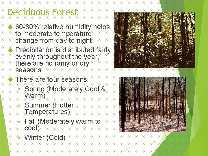 Deciduous Forest 60 -80% relative humidity helps to moderate temperature change from day to