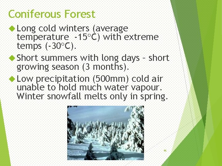 Coniferous Forest Long cold winters (average temperature -15 C) with extreme temps (-30 C).