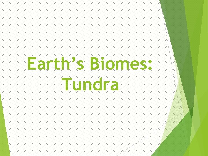 Earth’s Biomes: Tundra 