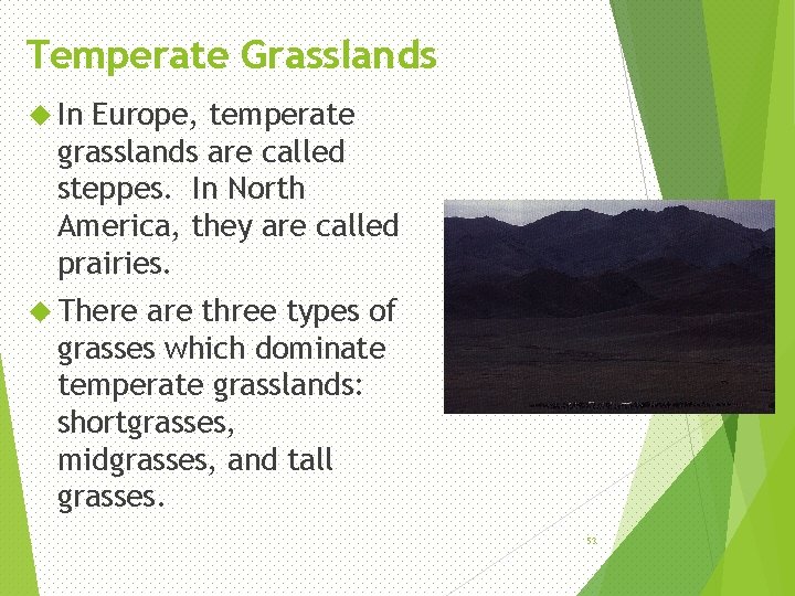 Temperate Grasslands In Europe, temperate grasslands are called steppes. In North America, they are