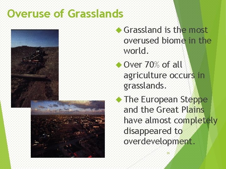 Overuse of Grasslands Grassland is the most overused biome in the world. Over 70%