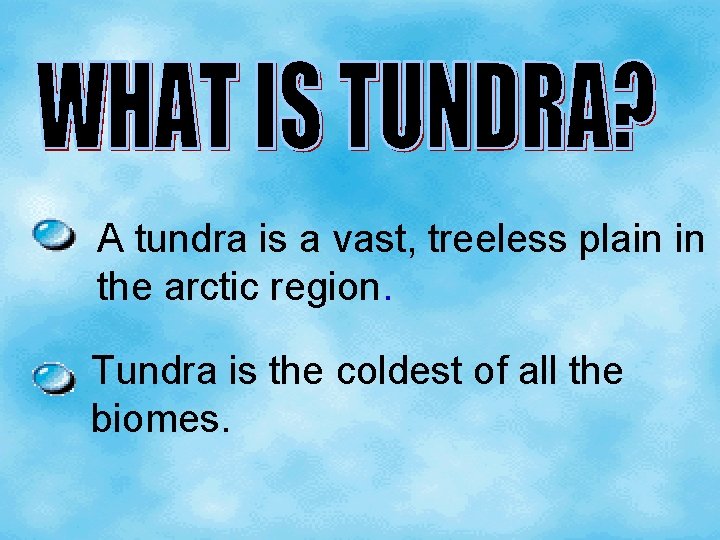 A tundra is a vast, treeless plain in the arctic region. Tundra is the