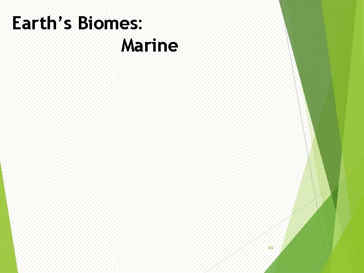 Earth’s Biomes: Marine 60 