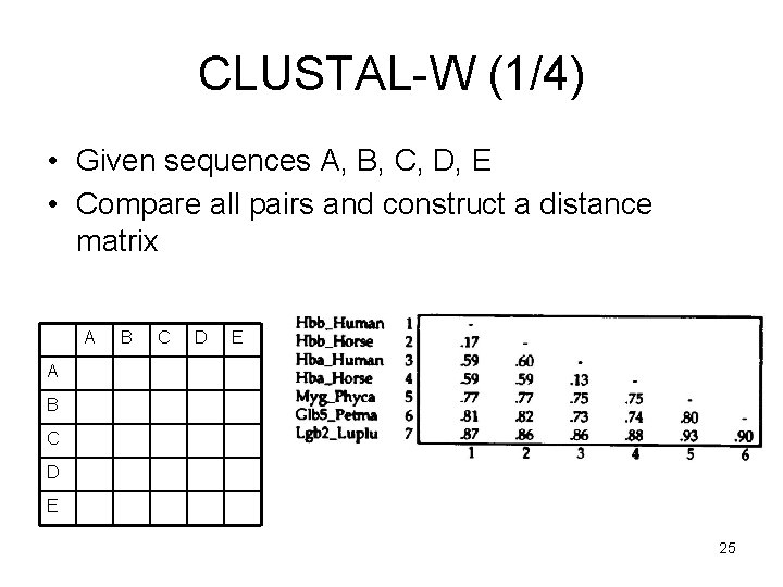 CLUSTAL-W (1/4) • Given sequences A, B, C, D, E • Compare all pairs