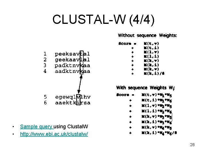 CLUSTAL-W (4/4) • • Sample query using Clustal. W http: //www. ebi. ac. uk/clustalw/