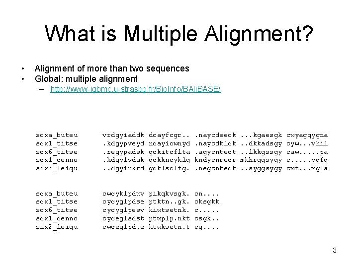 What is Multiple Alignment? • • Alignment of more than two sequences Global: multiple