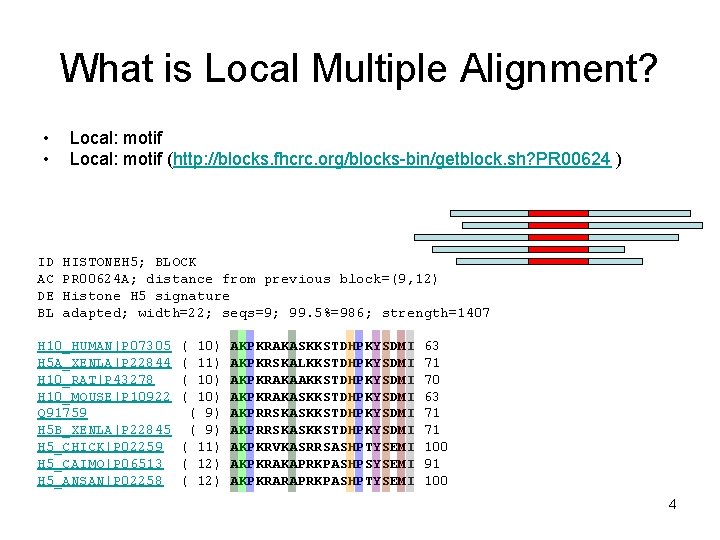 What is Local Multiple Alignment? • • ID AC DE BL Local: motif (http: