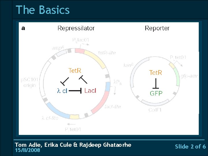 The Basics _______________________ Tom Adie, Erika Cule & Rajdeep Ghataorhe 15/II/2008 Slide 2 of