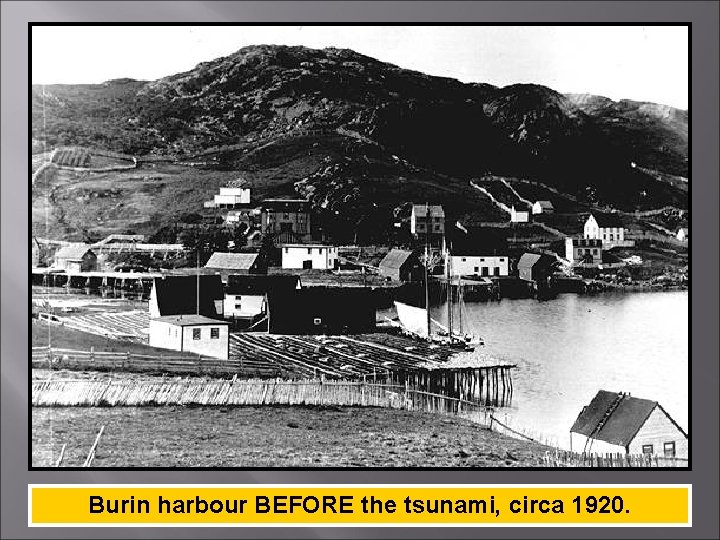 Burin harbour BEFORE the tsunami, circa 1920. 