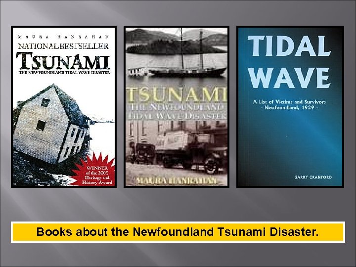 Books about the Newfoundland Tsunami Disaster. 