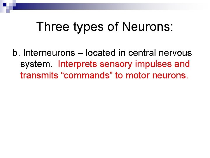 Three types of Neurons: b. Interneurons – located in central nervous system. Interprets sensory