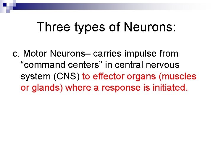 Three types of Neurons: c. Motor Neurons– carries impulse from “command centers” in central