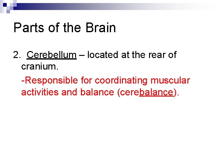 Parts of the Brain 2. Cerebellum – located at the rear of cranium. -Responsible