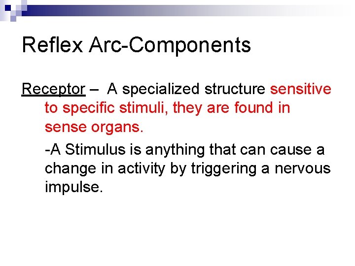 Reflex Arc-Components Receptor – A specialized structure sensitive to specific stimuli, they are found