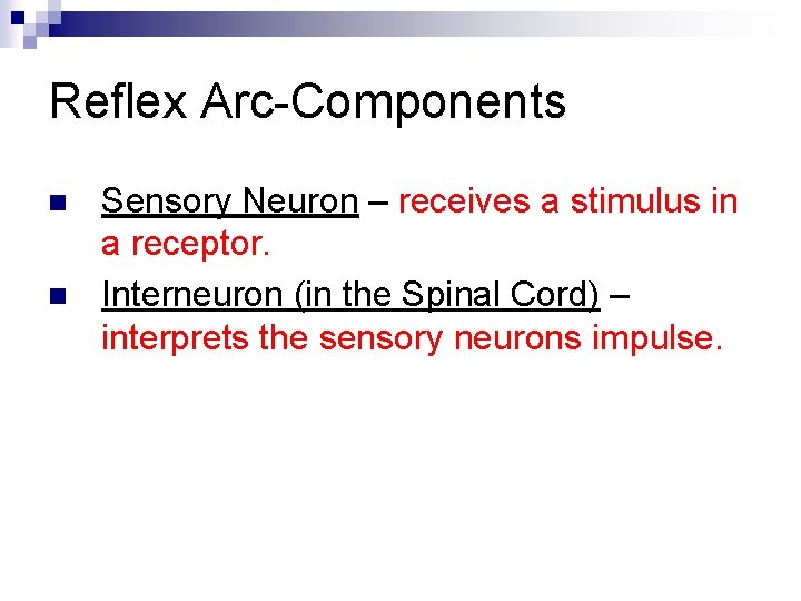 Reflex Arc-Components n n Sensory Neuron – receives a stimulus in a receptor. Interneuron