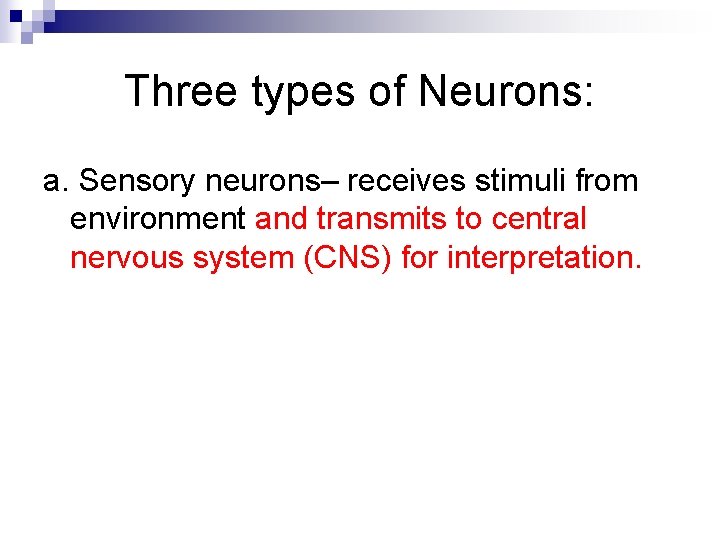 Three types of Neurons: a. Sensory neurons– receives stimuli from environment and transmits to