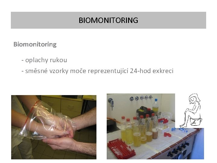 BIOMONITORING Biomonitoring - oplachy rukou - směsné vzorky moče reprezentující 24 -hod exkreci 