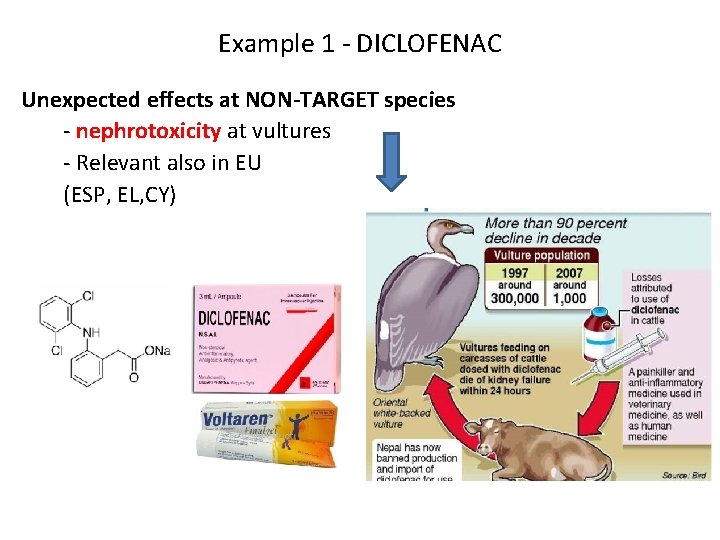 Example 1 - DICLOFENAC Unexpected effects at NON-TARGET species - nephrotoxicity at vultures -