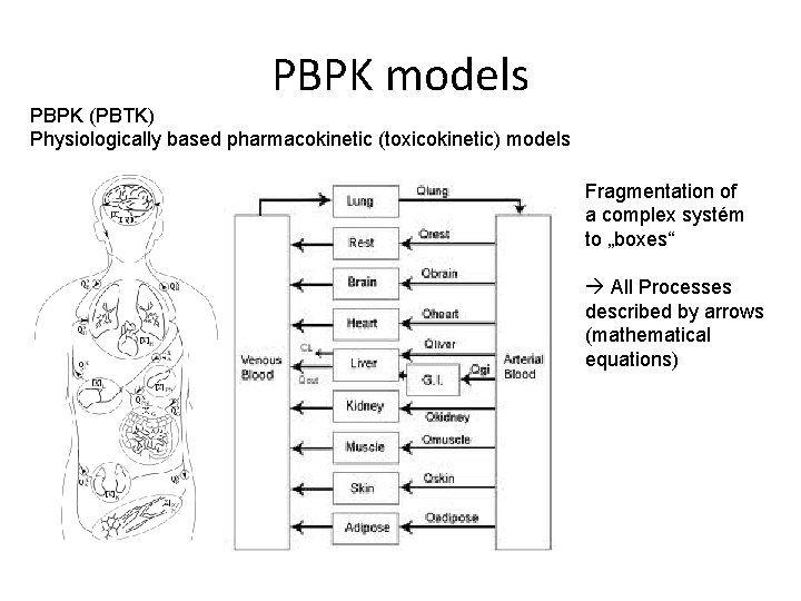 PBPK models PBPK (PBTK) Physiologically based pharmacokinetic (toxicokinetic) models Fragmentation of a complex systém