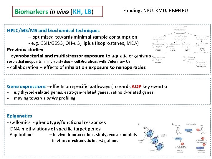 Biomarkers in vivo (KH, LB) Funding: NPU, RMU, HBM 4 EU HPLC/MS/MS and biochemical