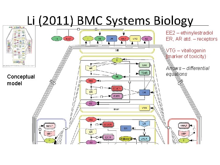 Li (2011) BMC Systems Biology EE 2 – ethinylestradiol ER, AR atd. – receptors