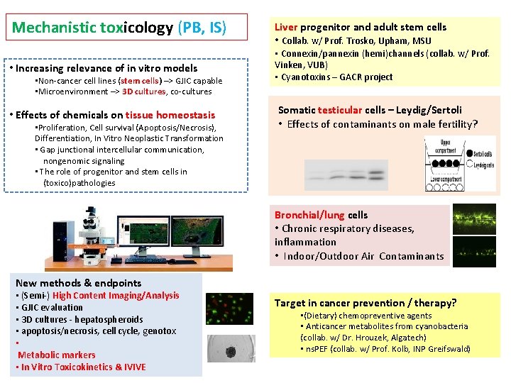 Mechanistic toxicology (PB, IS) Liver progenitor and adult stem cells • Collab. w/ Prof.