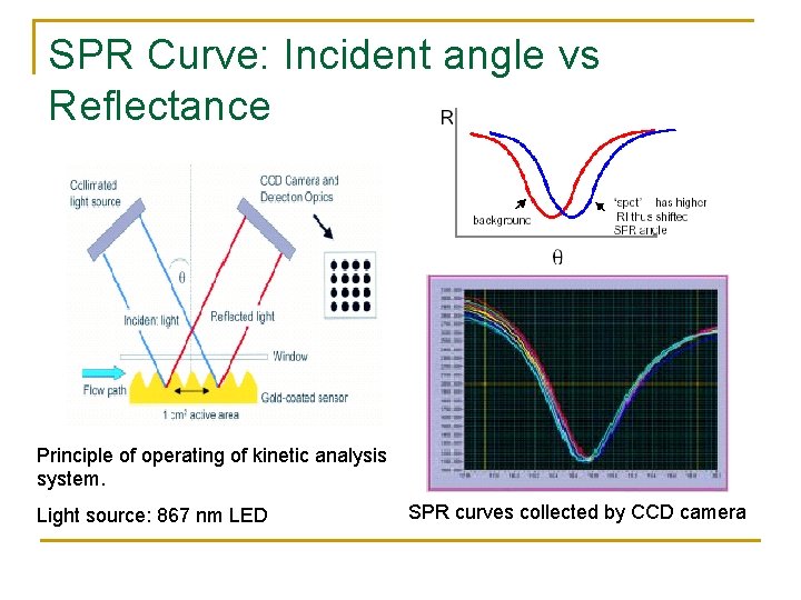 SPR Curve: Incident angle vs Reflectance Principle of operating of kinetic analysis system. Light