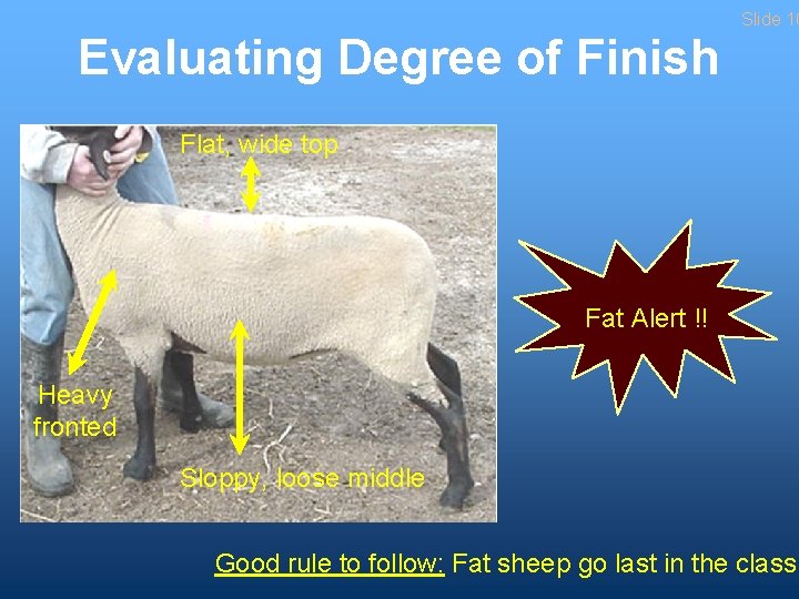 Slide 10 Evaluating Degree of Finish Flat, wide top Fat Alert !! Heavy fronted