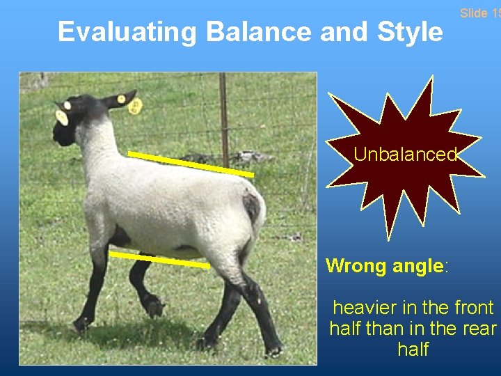 Evaluating Balance and Style Slide 15 Unbalanced Wrong angle: heavier in the front half