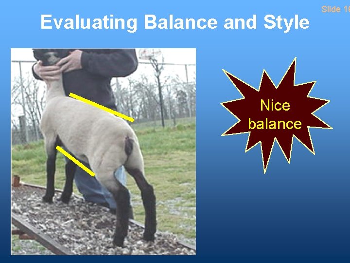 Evaluating Balance and Style Nice balance Slide 16 