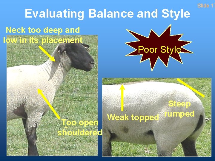 Evaluating Balance and Style Neck too deep and low in its placement Too open