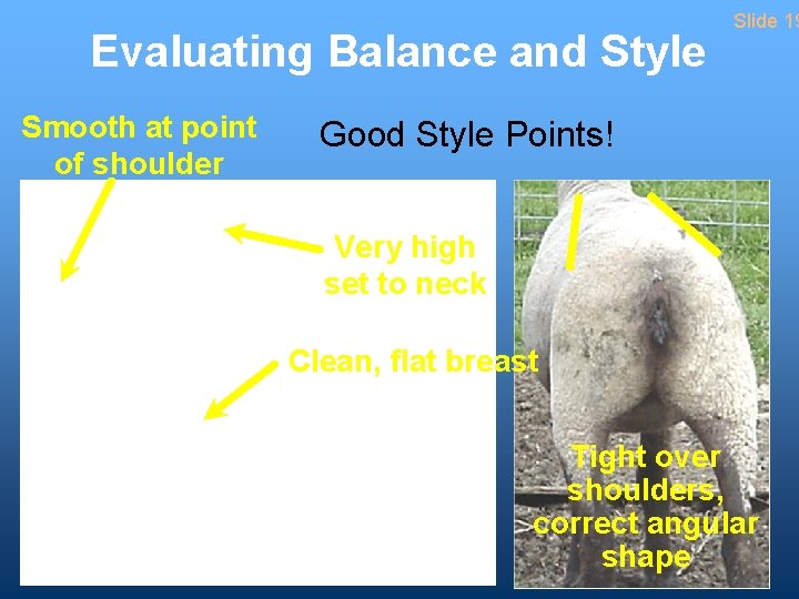 Evaluating Balance and Style Smooth at point of shoulder Slide 19 Good Style Points!