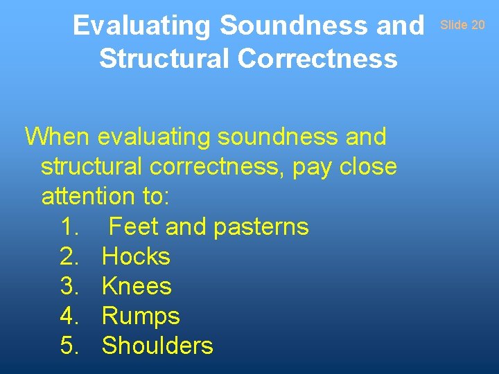 Evaluating Soundness and Structural Correctness When evaluating soundness and structural correctness, pay close attention