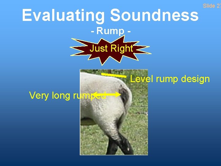 Evaluating Soundness Slide 27 - Rump Just Right Level rump design Very long rumped