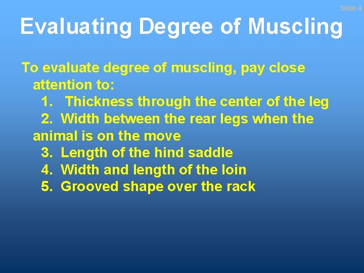 Slide 4 Evaluating Degree of Muscling To evaluate degree of muscling, pay close attention