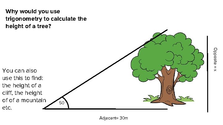 Why would you use trigonometry to calculate the height of a tree? Opposite =