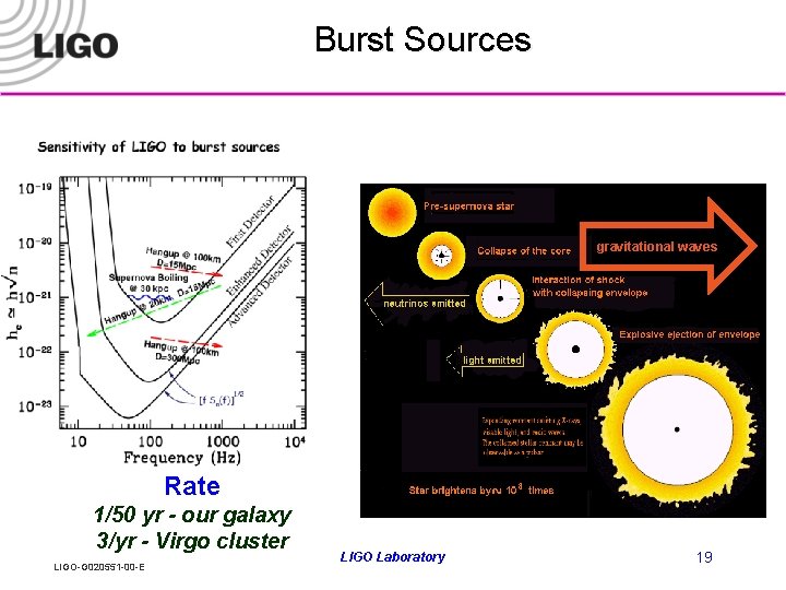 Burst Sources gravitational waves Rate 1/50 yr - our galaxy 3/yr - Virgo cluster