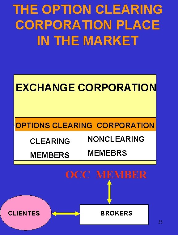 THE OPTION CLEARING CORPORATION PLACE IN THE MARKET EXCHANGE CORPORATION OPTIONS CLEARING CORPORATION CLEARING