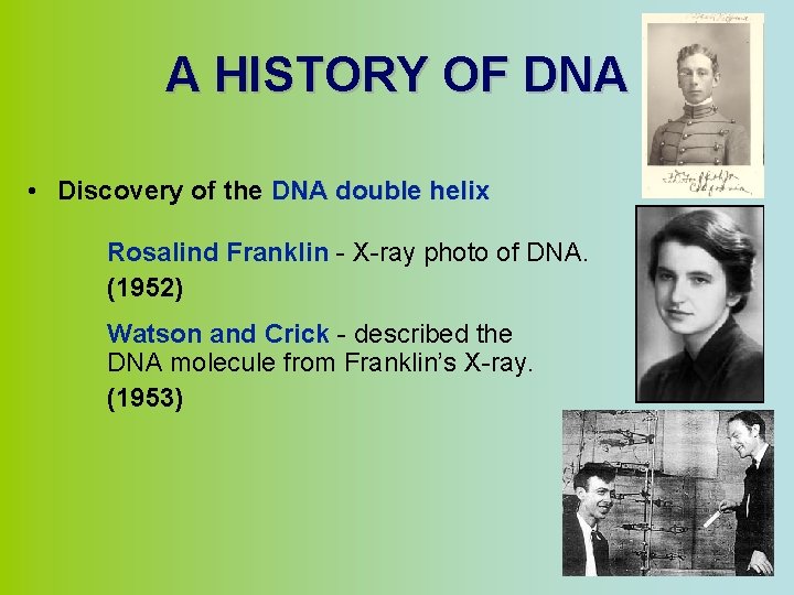 A HISTORY OF DNA • Discovery of the DNA double helix Rosalind Franklin -