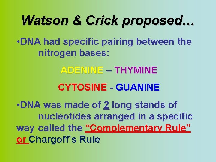 Watson & Crick proposed… • DNA had specific pairing between the nitrogen bases: ADENINE