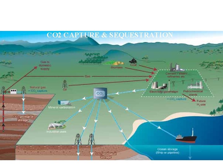 CO 2 CAPTURE & SEQUESTRATION 