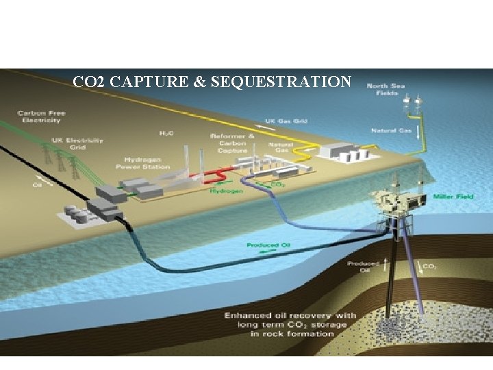 CO 2 CAPTURE & SEQUESTRATION 