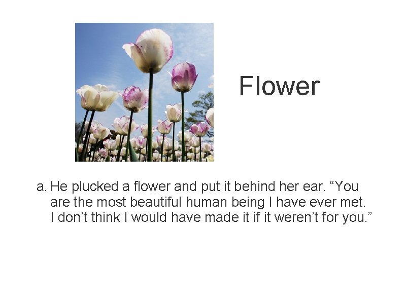 Flower a. He plucked a flower and put it behind her ear. “You are