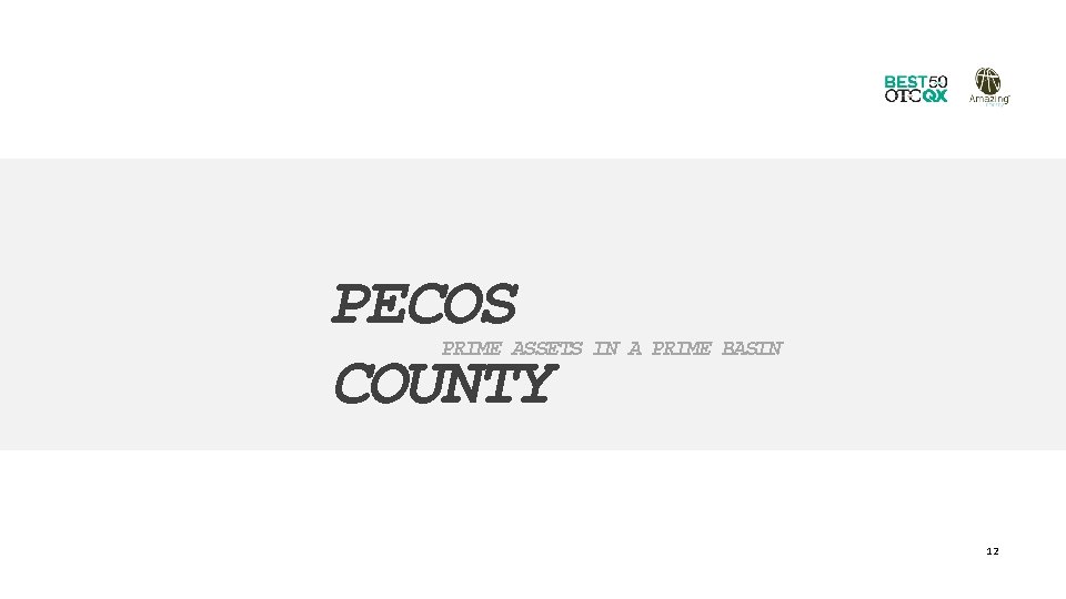 PECOS COUNTY PRIME ASSETS IN A PRIME BASIN 12 