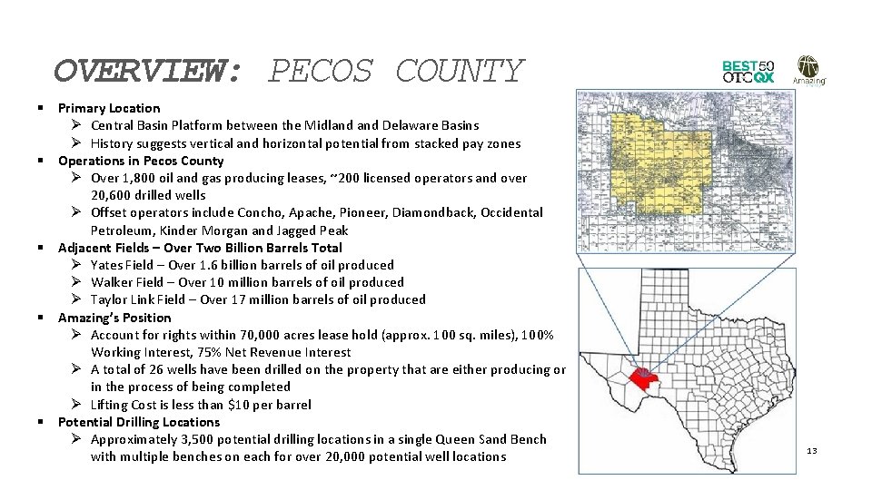 OVERVIEW: PECOS COUNTY § Primary Location Ø Central Basin Platform between the Midland Delaware